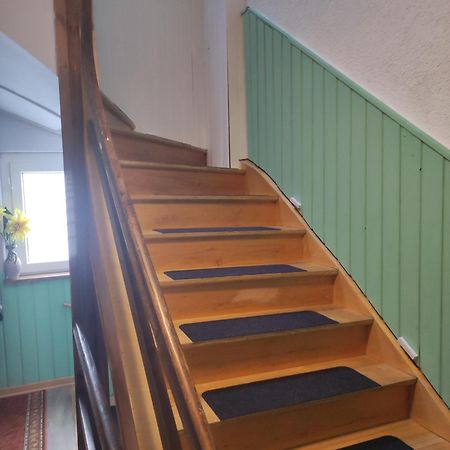Kleine Gemuetliche Wohnung Zwickau Dış mekan fotoğraf
