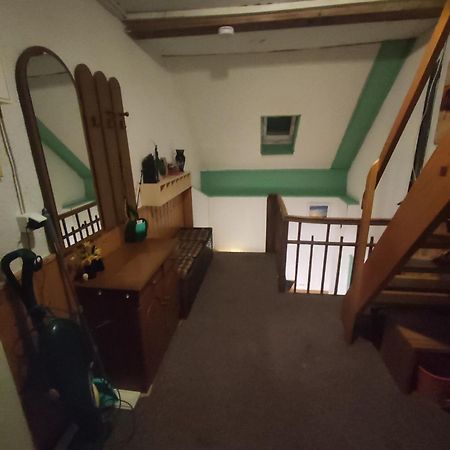 Kleine Gemuetliche Wohnung Zwickau Dış mekan fotoğraf