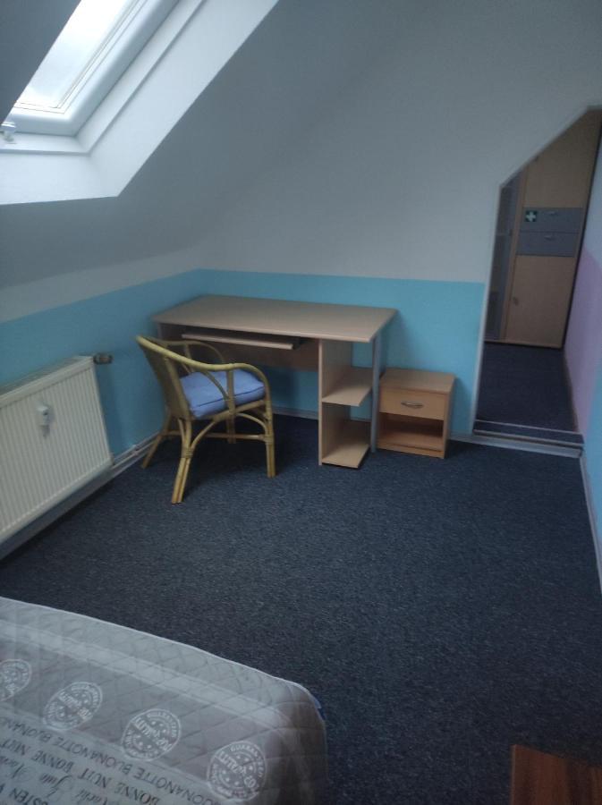 Kleine Gemuetliche Wohnung Zwickau Dış mekan fotoğraf