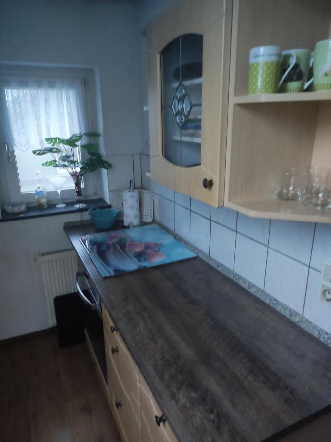 Kleine Gemuetliche Wohnung Zwickau Dış mekan fotoğraf